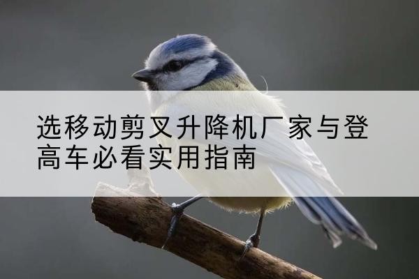 从江电动升降机厂家-选移动剪叉升降机厂家与登高车必看实用指南