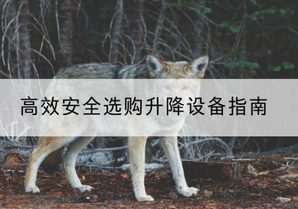 从江升降货梯厂家推荐-*安全选购升降设备指南