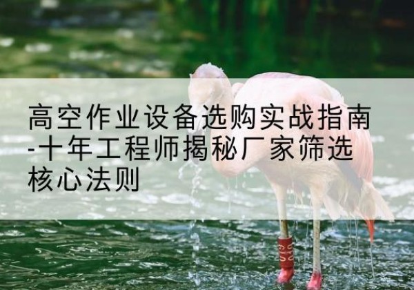 从江剪叉式升降机厂家-高空作业设备选购实战指南-十年工程师揭秘厂家筛选核心法则